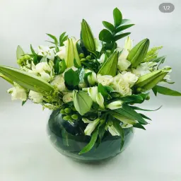فازة الفخامة